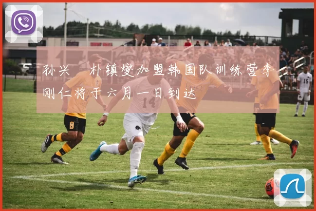 孙兴慜朴镇燮加盟韩国队训练营李刚仁将于六月一日到达
