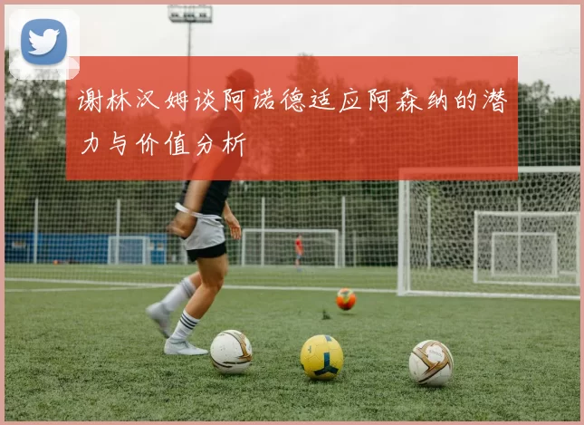 谢林汉姆谈阿诺德适应阿森纳的潜力与价值分析