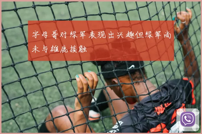 字母哥对绿军表现出兴趣但绿军尚未与雄鹿接触